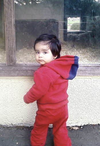 15 Oct zoo5.jpg